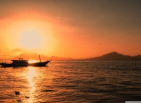 Best places to see weekly with your whole family