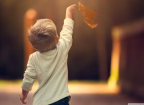 Who need a president – Review